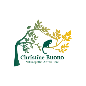 Christine Buono